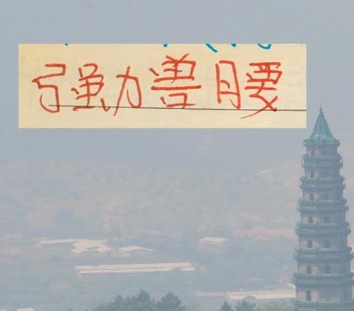 德甲新星韦,德拉奥果遭,遇伤病,星空体育,XingKong,星空体育网址,星空app,星空官网,星空集团