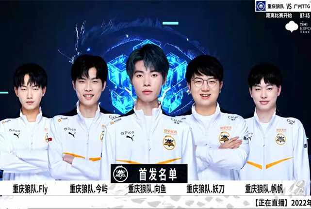 理性还是冲